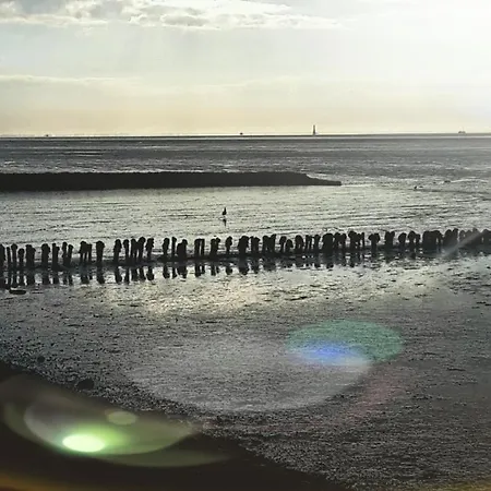 Ferienhaus Strandhus Juwel Mit Blick Auf Dem Deich, Schafe Zahlen Mal Ganz Anders Apartment
